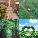 泰州旅游 缩略图 1