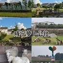 武汉旅游 缩略图 2
