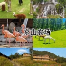 武汉旅游 缩略图 4