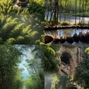 宜宾旅游 缩略图 7