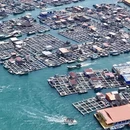 陵水黎族自治县旅游 缩略图 6