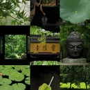 杭州旅游 缩略图 1