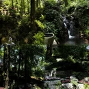 铜陵旅游 缩略图 4