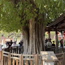 泉州旅游 缩略图 11