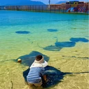 陵水黎族自治县旅游 缩略图 15