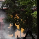 杭州旅游 缩略图 2