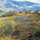 红河旅游 缩略图 6