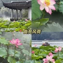 杭州旅游 缩略图 4