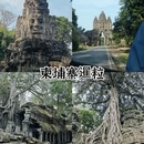 郑州旅游 缩略图 3