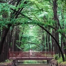 泰州旅游 缩略图 2