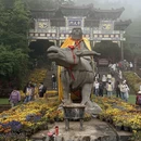 洛阳旅游 缩略图 15
