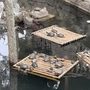 泉州旅游 缩略图 14