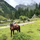 阿坝旅游 缩略图 6
