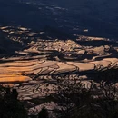 红河旅游 缩略图 9