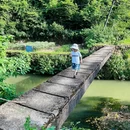 长沙旅游 缩略图 11