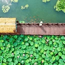 泰州旅游 缩略图 8