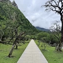阿坝旅游 缩略图 9
