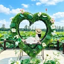 泰州旅游 缩略图 7