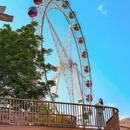 广州旅游 缩略图 8