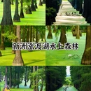 武汉旅游 缩略图 3
