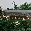 南京旅游 缩略图 9