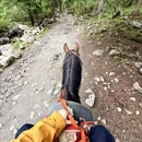 阿坝旅游 缩略图 12