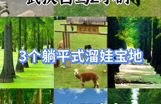 武汉自驾2h✨躺平式遛娃宝地，不爬山不费妈