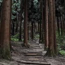 成都旅游 缩略图 5