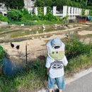 长沙旅游 缩略图 8