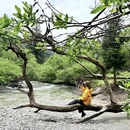 阿坝旅游 缩略图 7