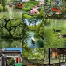 杭州旅游 缩略图 1