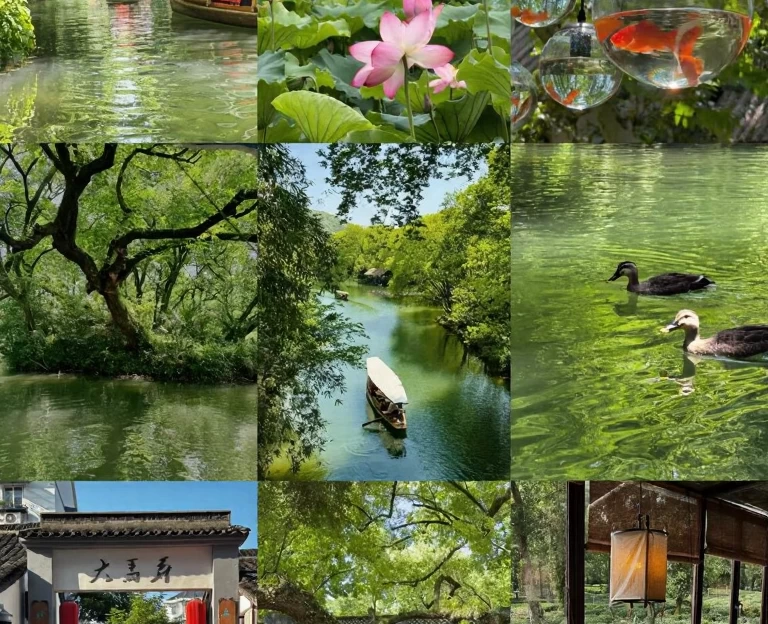 杭州旅游 1