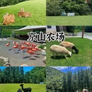 武汉旅游 缩略图 5