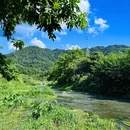 长沙旅游 缩略图 5