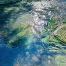 长沙旅游 缩略图 4