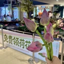 苏州旅游 缩略图 5
