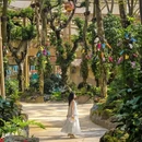 广州旅游 缩略图 12