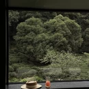 杭州旅游 缩略图 16