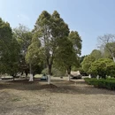 苏州旅游 缩略图 6