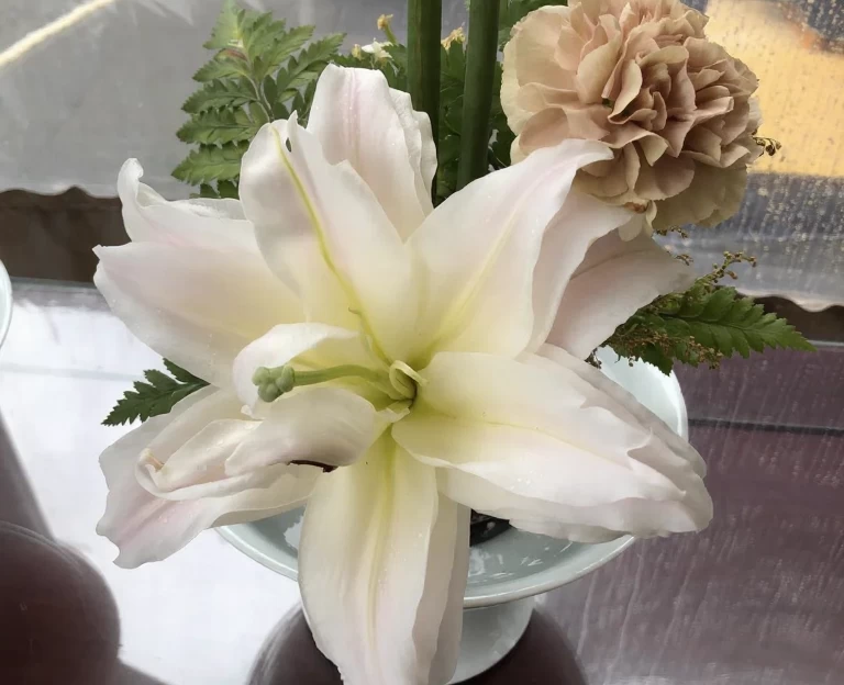九江旅游 1