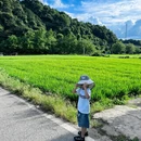 长沙旅游 缩略图 10