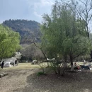 苏州旅游 缩略图 13