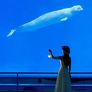 泉州旅游 缩略图 9