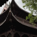杭州旅游 缩略图 11