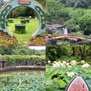 广州旅游 缩略图 2