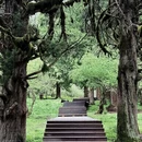阿坝旅游 缩略图 10