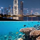 深圳旅游 缩略图 9