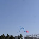 苏州旅游 缩略图 4