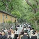 杭州旅游 缩略图 9