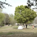 苏州旅游 缩略图 10